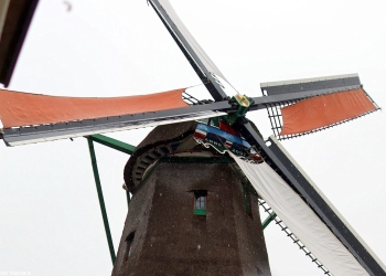 Willem 125